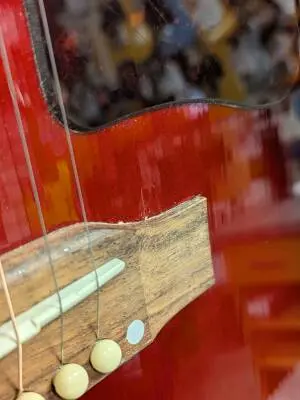Epiphone - EISLASH45VMNH 2